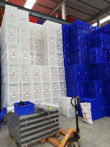 【潼南加工周轉(zhuǎn)籮筐/塑料蔬菜-水果周轉(zhuǎn)運輸籮筐廠】- 